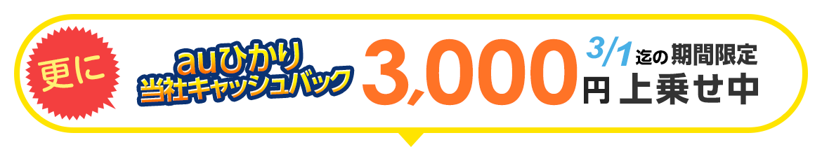 auひかりキャンペーン特典