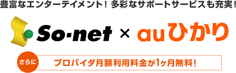 So-netのロゴ
