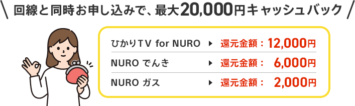 NURO光オプションキャッシュバックの詳細
